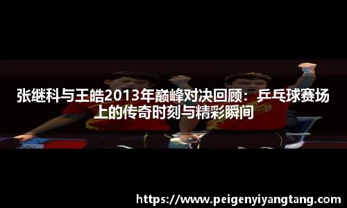 张继科与王皓2013年巅峰对决回顾:乒乓球赛场上的传奇时刻与精彩瞬间