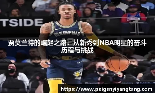 贾莫兰特的崛起之路:从新秀到NBA明星的奋斗历程与挑战